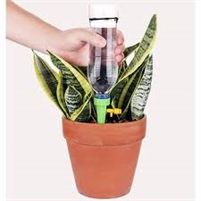  Amazon.com: Reifier 10-Pack Natural Self Watering Spikes