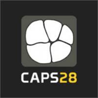 CAPS28 (Computing Assisted Practice Solutions) Farhan Siddiqui